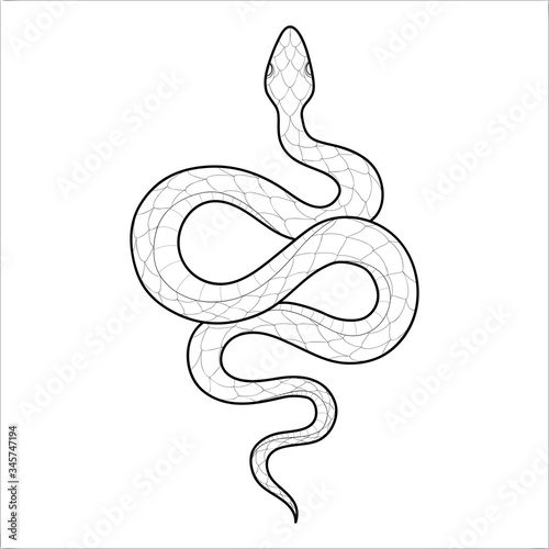 Photo Hand drawing outline snake