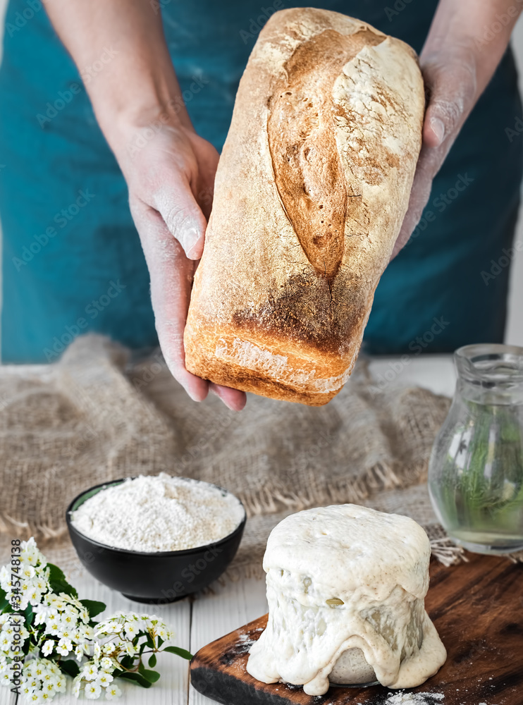 Fototapeta premium Female hands hold freshly baked bread, sourdough and ingredients for baking bread on a white wooden table close-up. hobby, baking wheat bread at sourdough at home. Healthy traditional craft bread.