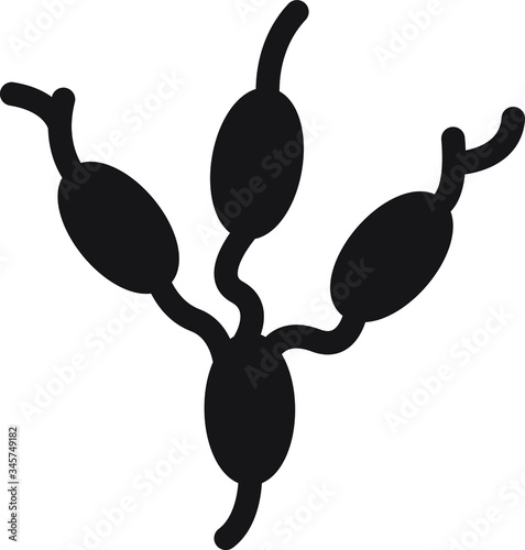 lymph nodes icon