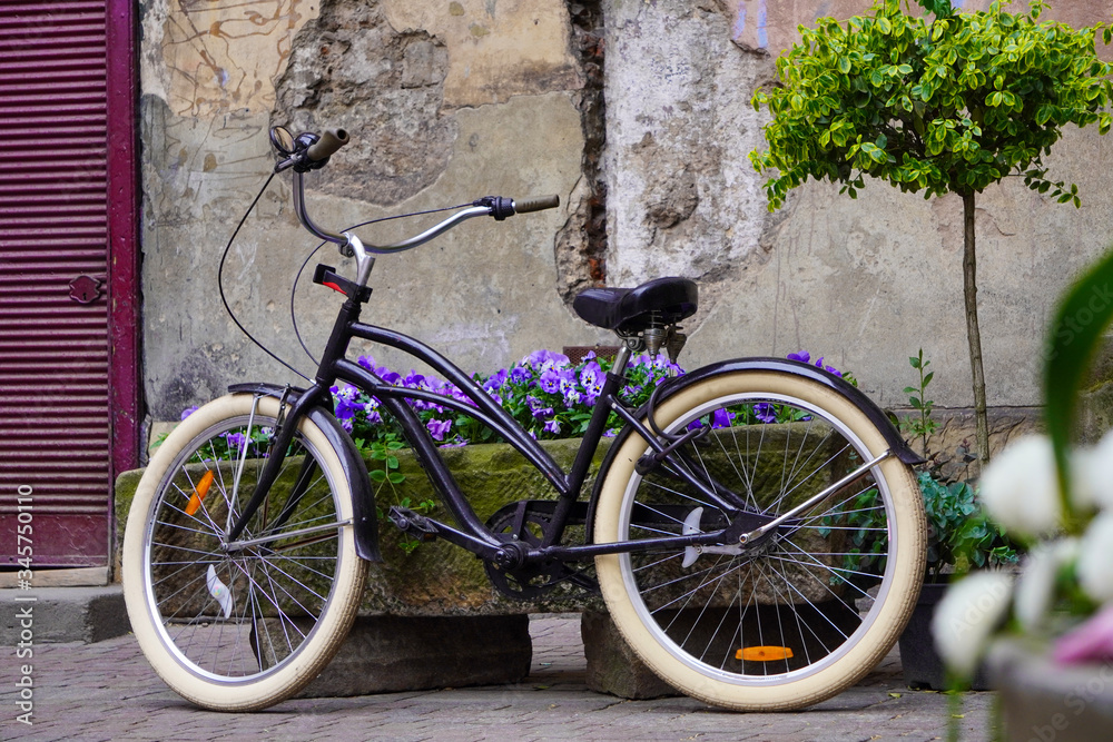 A modern black city bike stands next to a bed of purple flowers and a tree. Urban landscape, ecological and sports mode of transport in the old city. Spring bright green at the old house