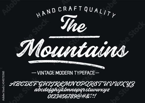 " The Mountains". Vintage Brush Script Modern Alphabet. Retro Typeface. Letters.Vector Alphabet. Exclusive Custom Letters.
Vector illustration.