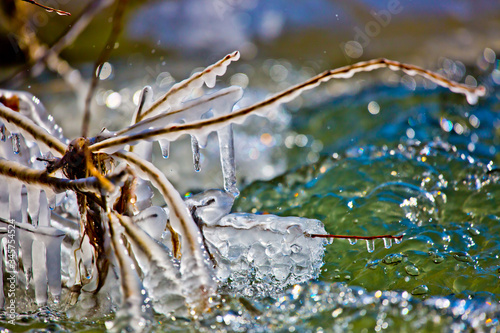 ice covered branches