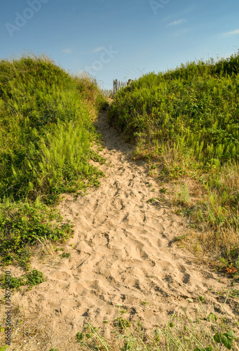 Path through sand dunes with foliage either side. No people