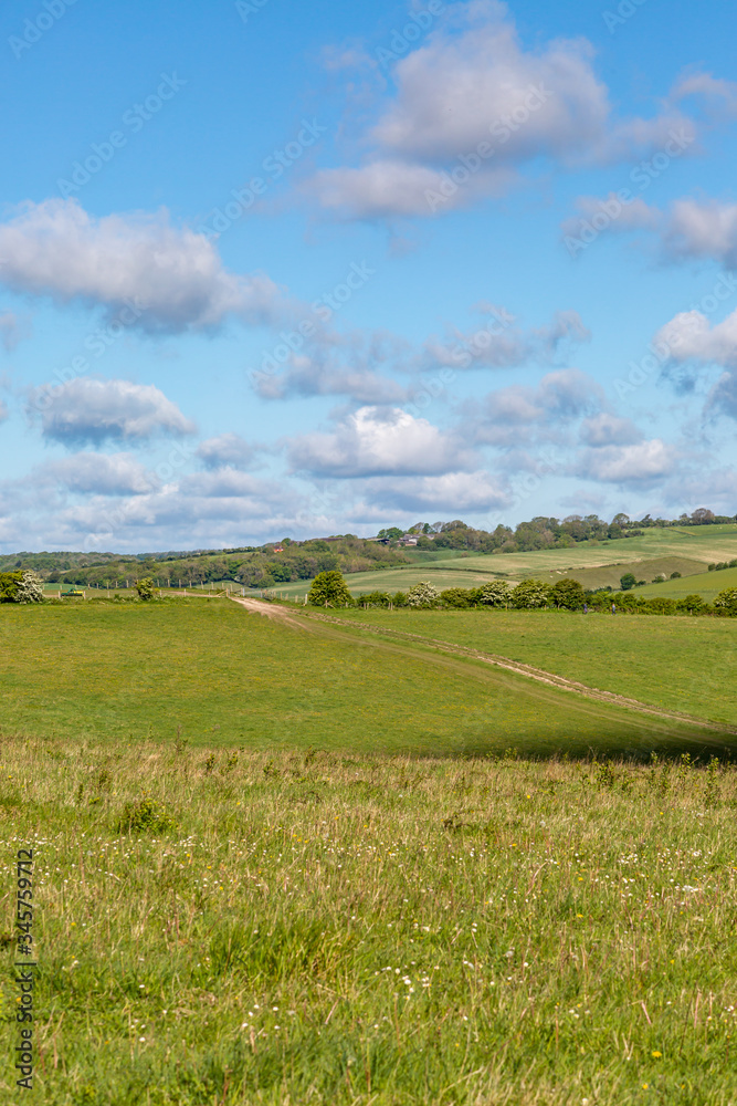 A South Downs Landscape A South Downs Landscape