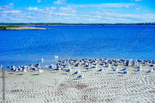 Beautiful Florida beach winter landscape