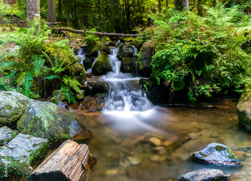 Fototapeta Naklejka Na Ścianę i Meble -  Photography of a long exposure waterfall in the forest