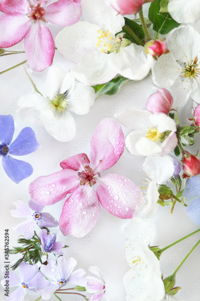 Macro shot of assorted spring flowers with water drops floating in water. Fresh floral background.