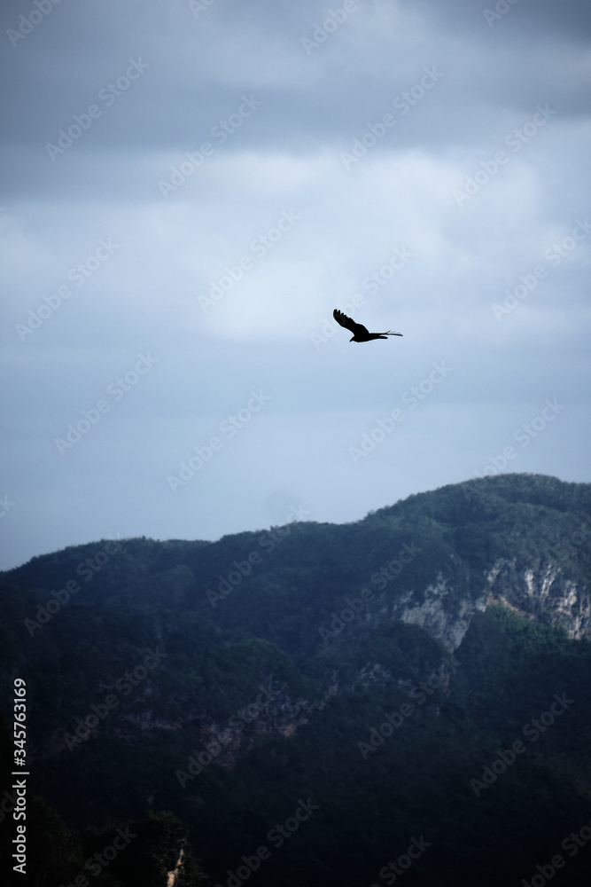 Soaring eagle on an epic landscape from Vinales Cuba Soaring eagle on an epic landscape from Vinales Cuba