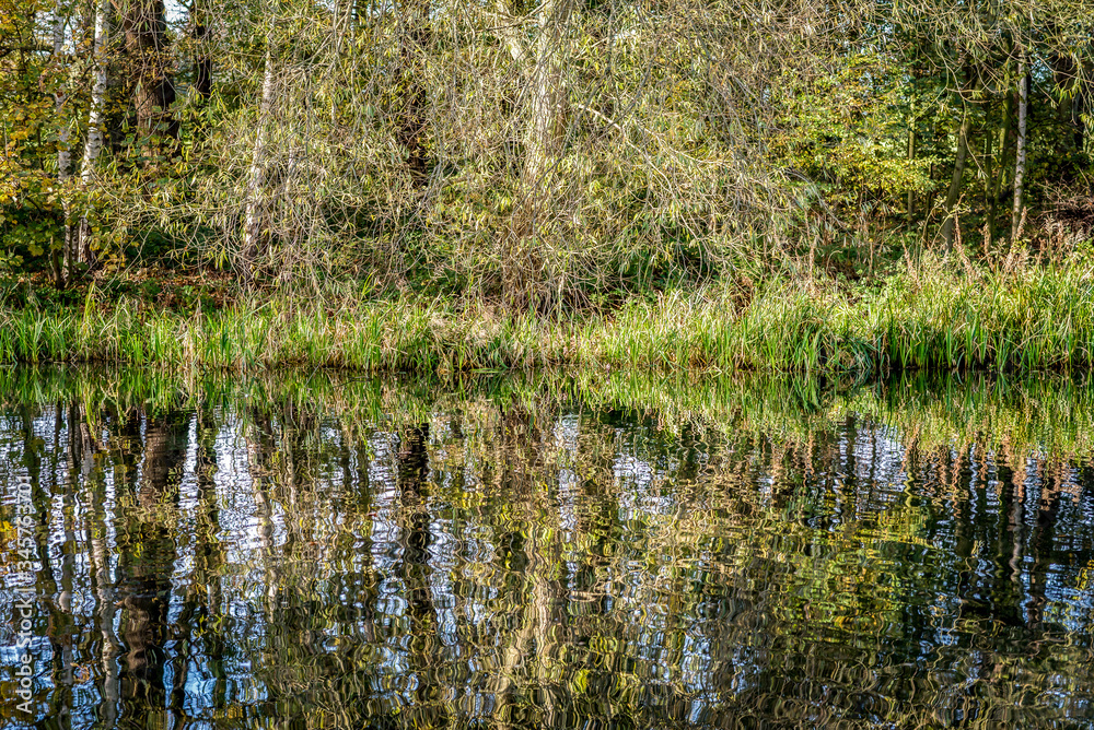 Autumnal lake shore with forest under sky. Autumnal lake shore with forest under sky.