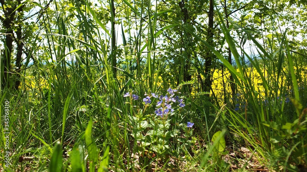 Obraz premium Krajobrazy