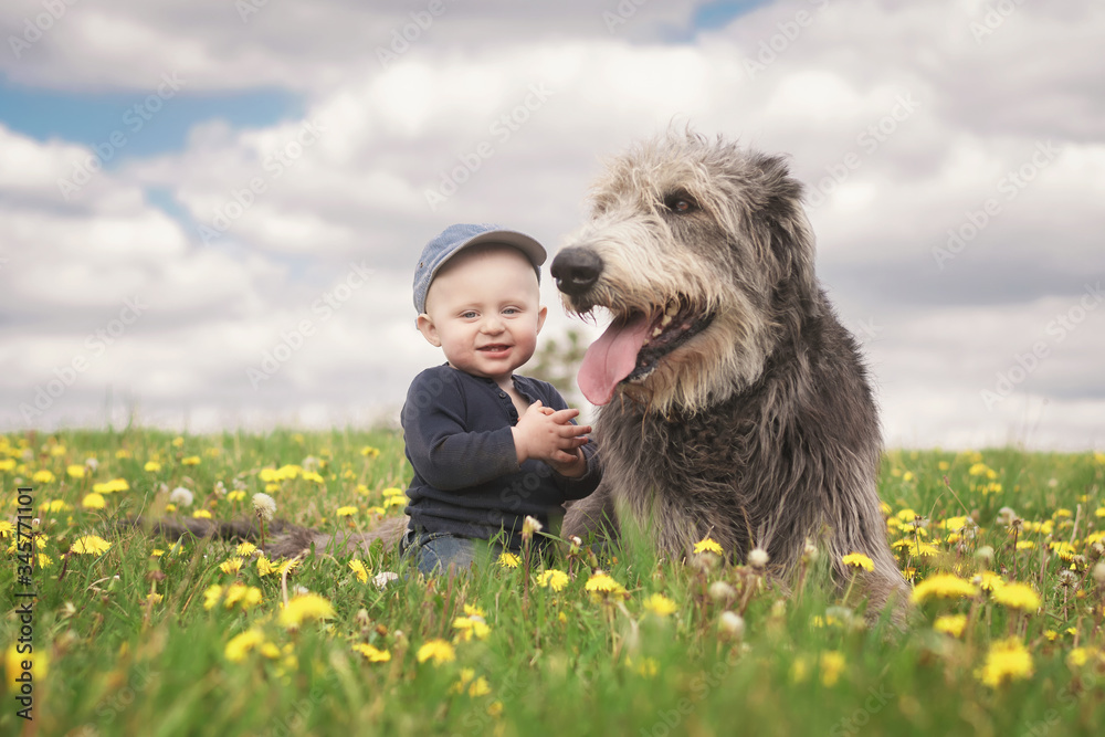 Little boy sitting on a meadow with an Irish wolfhound.
