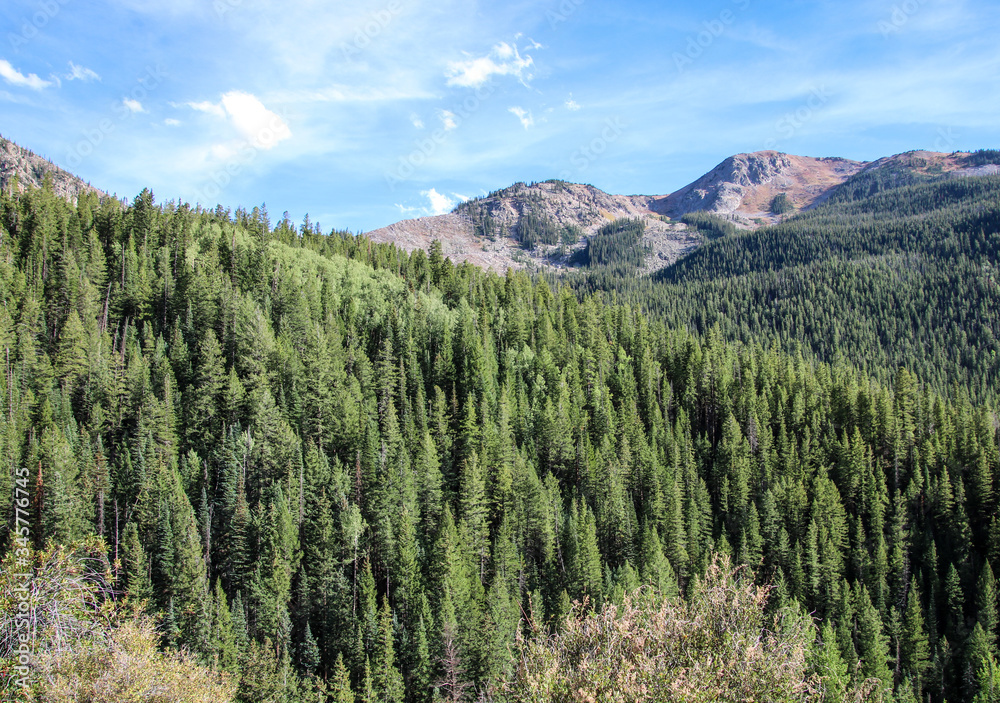 Scenic Rocky Mountain View From Indepdence Pass in Colorado Scenic Rocky Mountain View From Indepdence Pass in Colorado