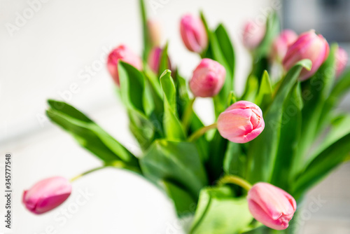 Large beautiful bunch of pink tulips