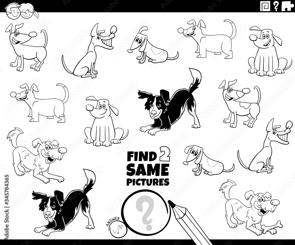 Fototapeta premium find two same dogs game coloring book page