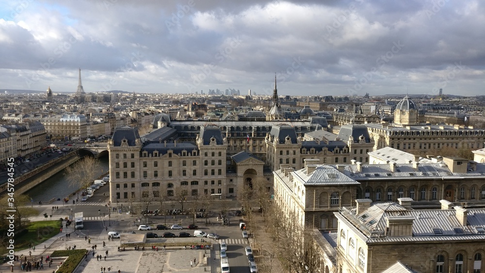 view of Paris from Notre-Dame 