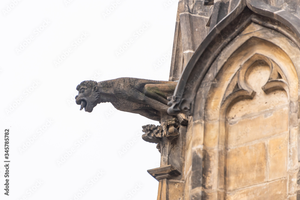 Close up view of gargoyle in the Cathedral church Sacred Vitus in Prague. The gargoyle is a highly decorative spout, allowing water to be channelled away from buildings.
