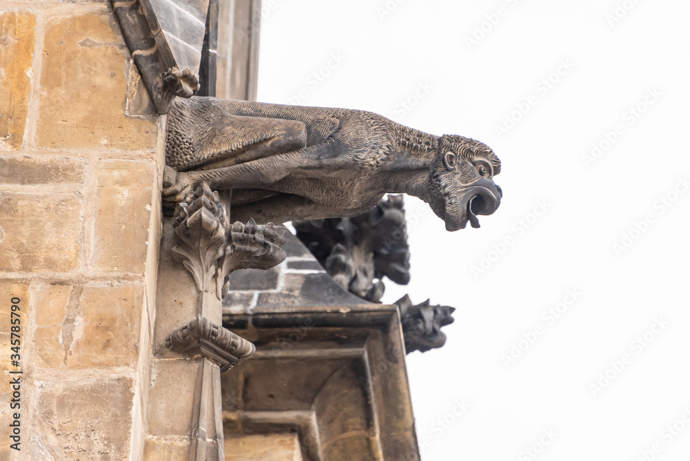 Close up view of gargoyle in the Cathedral church Sacred Vitus in Prague. The gargoyle is a highly decorative spout, allowing water to be channelled away from buildings.
