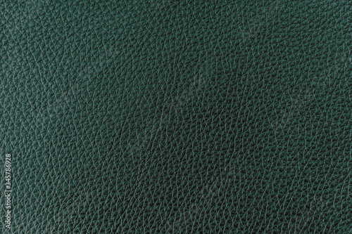 Wallpaper Mural Texture of genuine leather very dark green color, background, surface Torontodigital.ca