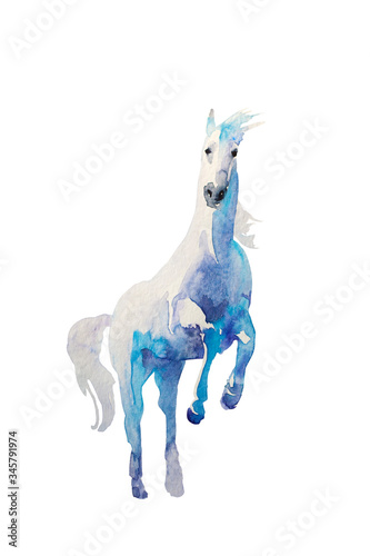 watercolor white horse jumping on back legs painted in blue colors, isolated on white background photo