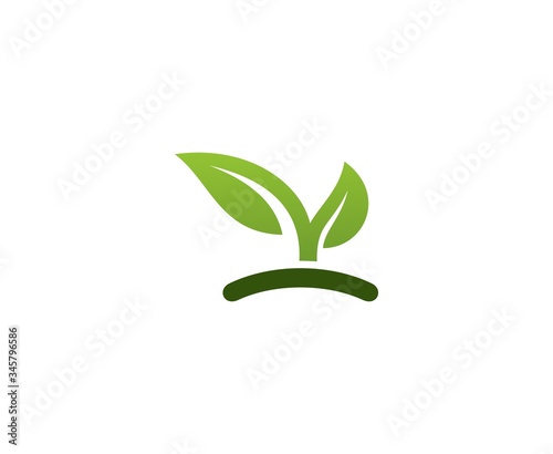 Leaf logo 