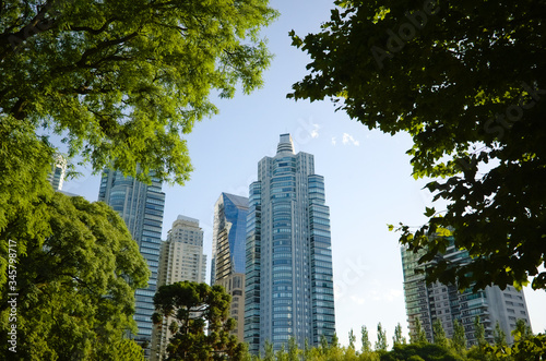 Buenos Aires  Argentina - January  2020  High skyscrapers office buildings view through leaves. Modern office buildings near public park in Puerto Madero financial district.