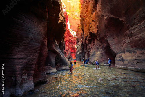 The Majestic Narrows of Zion National Park, Utah photo