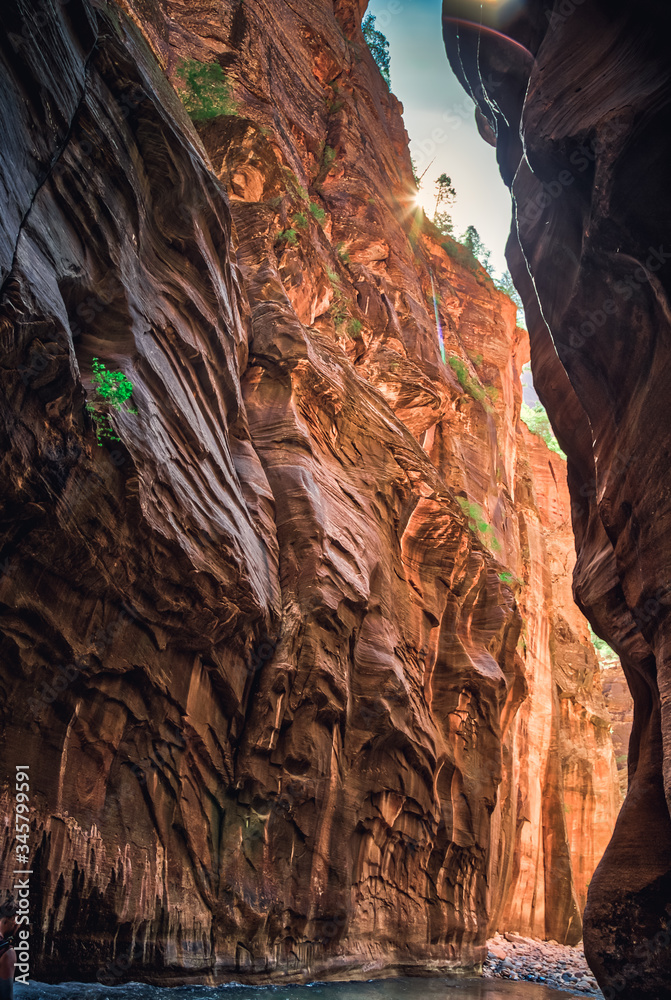 The Majestic Narrows of Zion National Park, Utah