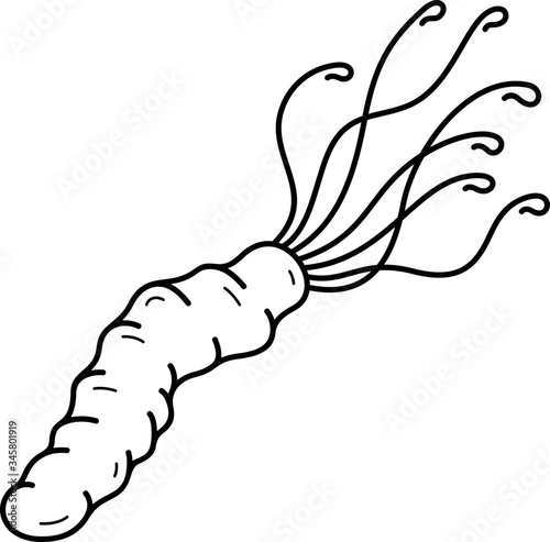 Helicobacter Pylori bacteria