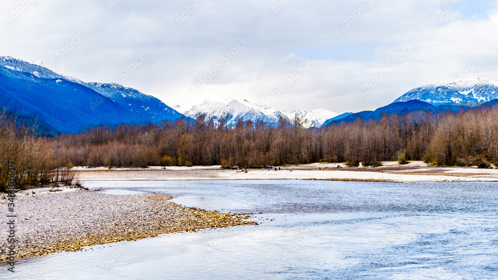 The Squamish River in Brackendale Eagles Provincial Park, a famous Eagle watching spot in British Columbia, Canada