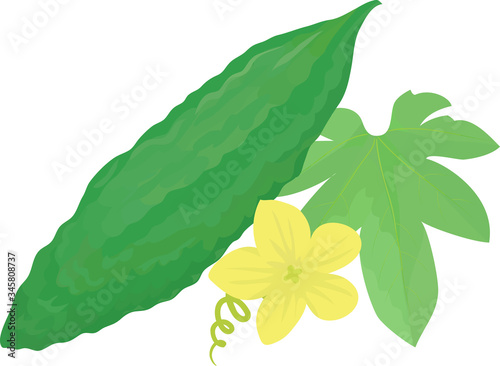 Illustration of bitter melon decorated with flowers and leaves.