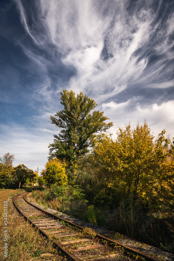 Fototapeta premium Tree and bushes by the railway, which are overgrown by grass. There is dramatic sky in the background.