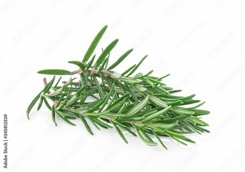 Fototapeta premium świeży rozmaryn na białym tle
