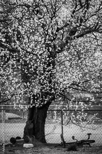 black and white