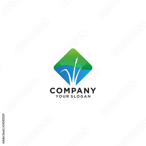 Cattail on white and blue background, Vector Illustration of wild lake, EPS10