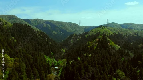 深緑の春山
