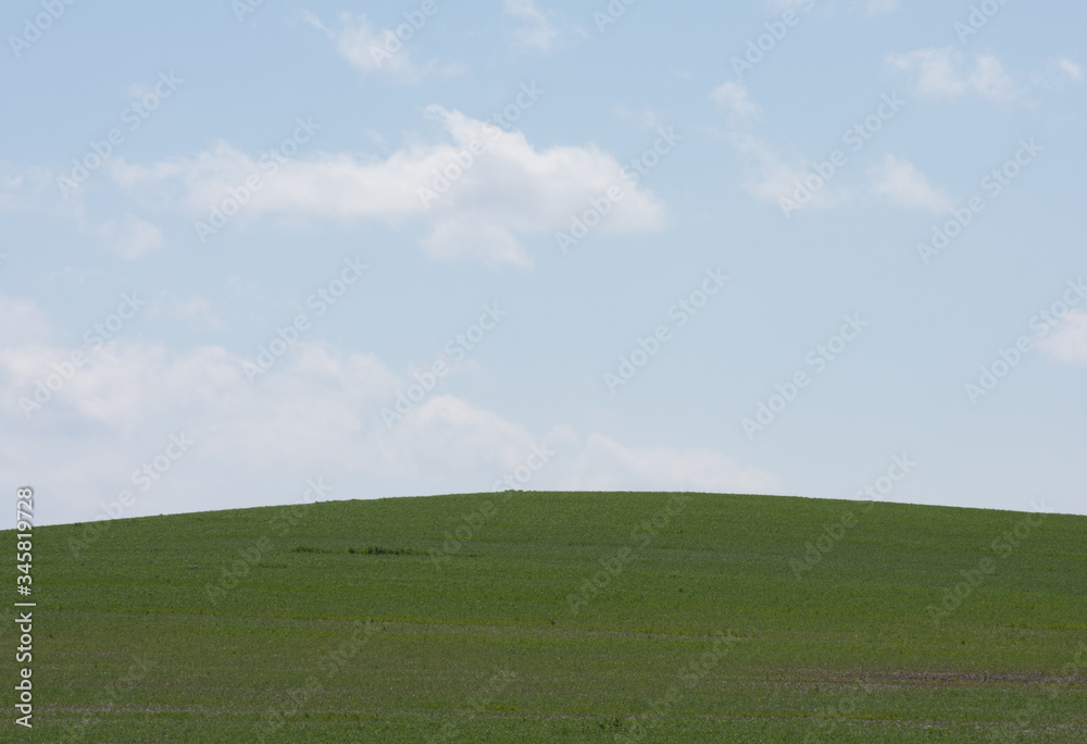 A green hill with a blue sky background.