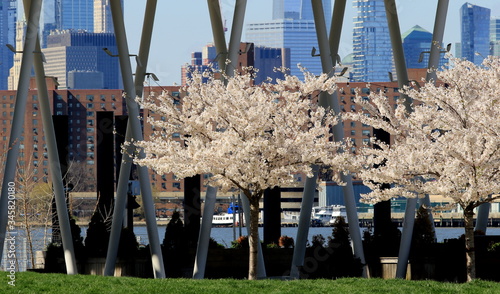 Wiosna w New York, widok z LIC na Manhattan