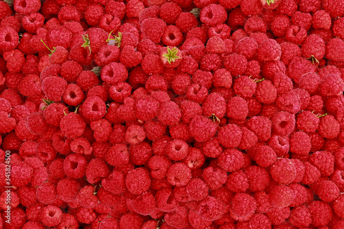 Raspberry fruits photographed closely occupying the whole image