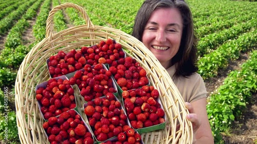 MS Smiling woman showing basket full of woodland strawberries to camera photo