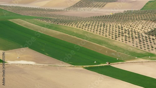 AERIAL WS Green fields, olive orchards and rolling hills