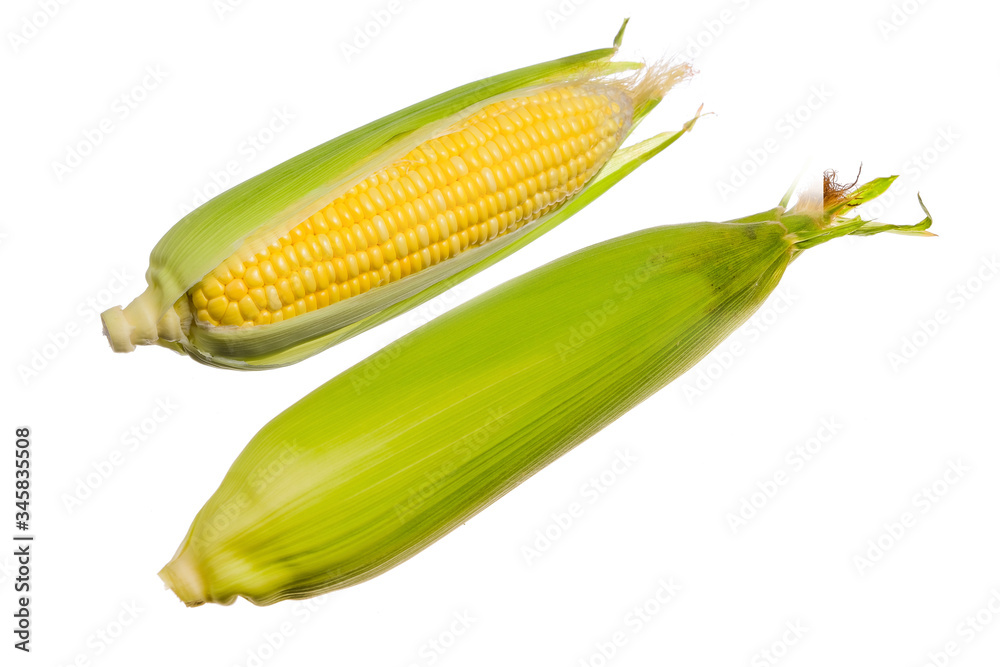 Fresh corn isolated on white background. Fresh corn isolated on white background.