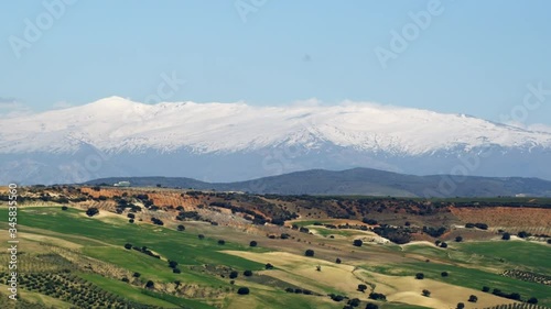 WS ZO Sierra Nevada mountains, fields and olive orchards