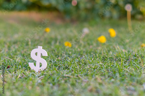 Fotografia Peso symbol on the grass