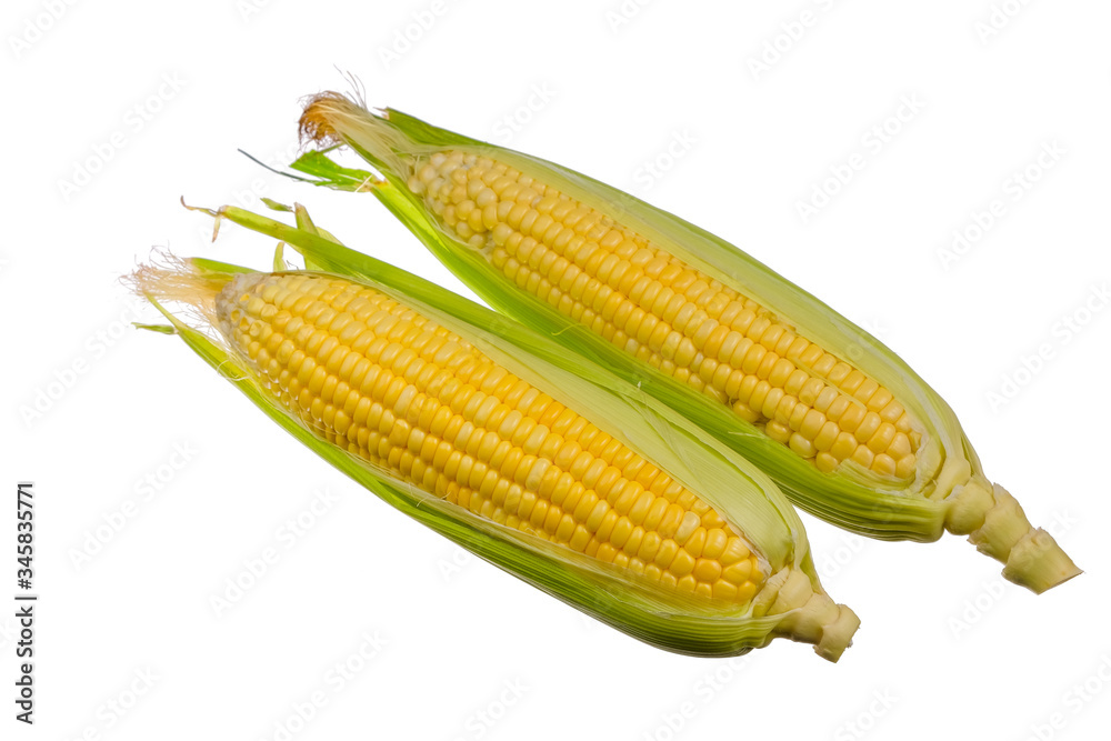 Fresh corn isolated on white background. Fresh corn isolated on white background.