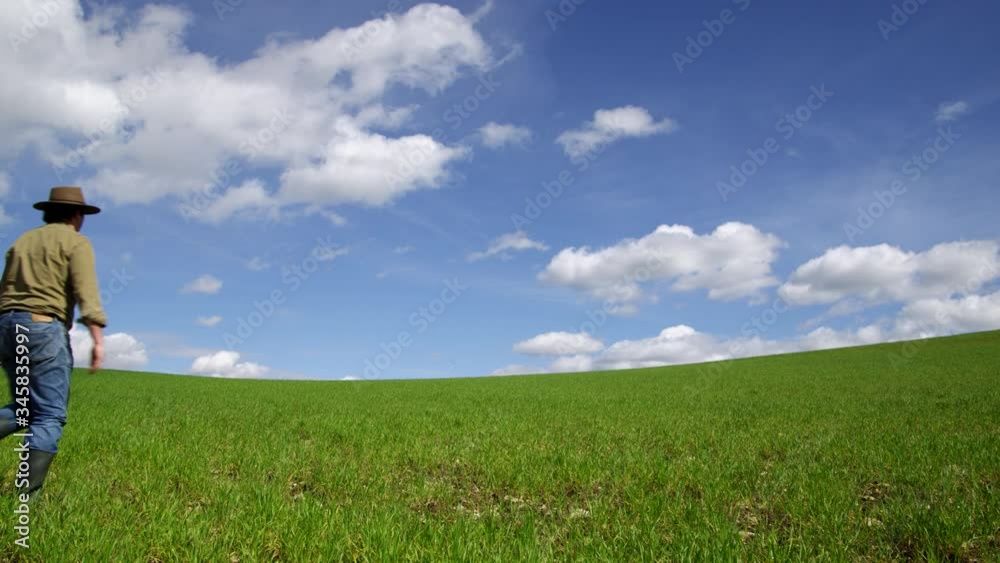 WS Farmer walking then standing in green field WS Farmer walking then standing in green field