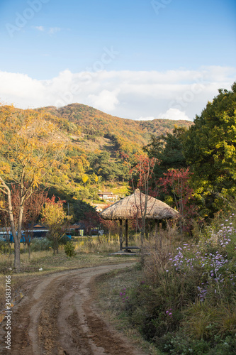 Beautiful country roads and autumn scenery in Korea