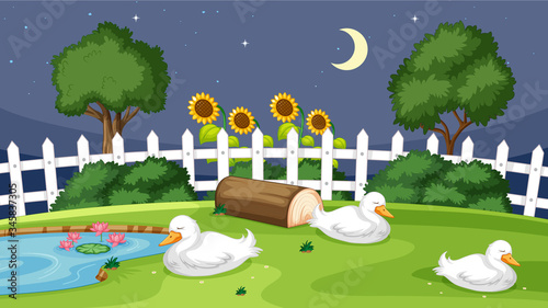 Cute duck sleeping on grass