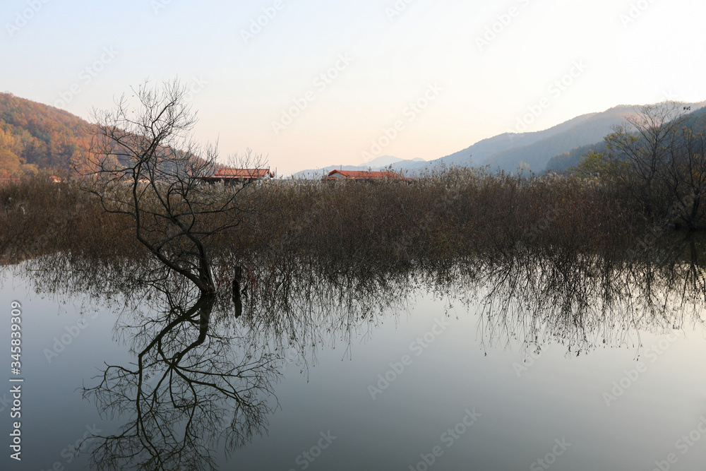 Morning, beautiful reflection of reservoir plants and trees. Mungwang, Chungbuk, Korea