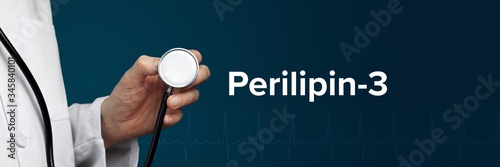 Perilipin-3. Doctor in smock holds stethoscope. The term Perilipin-3 is next to it. Symbol of medicine, illness, health photo