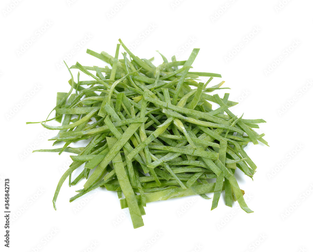 Caesalpinia furfuracea (Prain) Hattink (phak ngwm),vegetable on white Caesalpinia furfuracea (Prain) Hattink (phak ngwm),vegetable on white